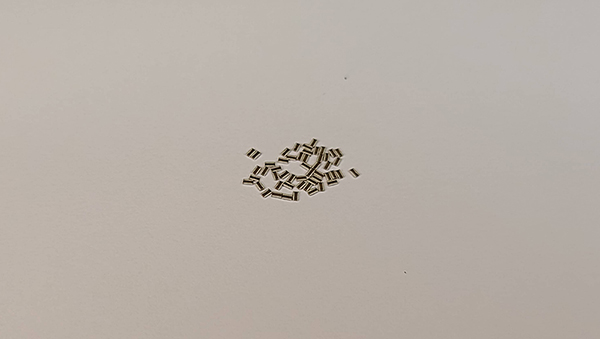 img2.jpg