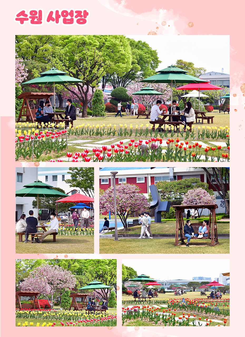 수원 사업장 봄 풍경