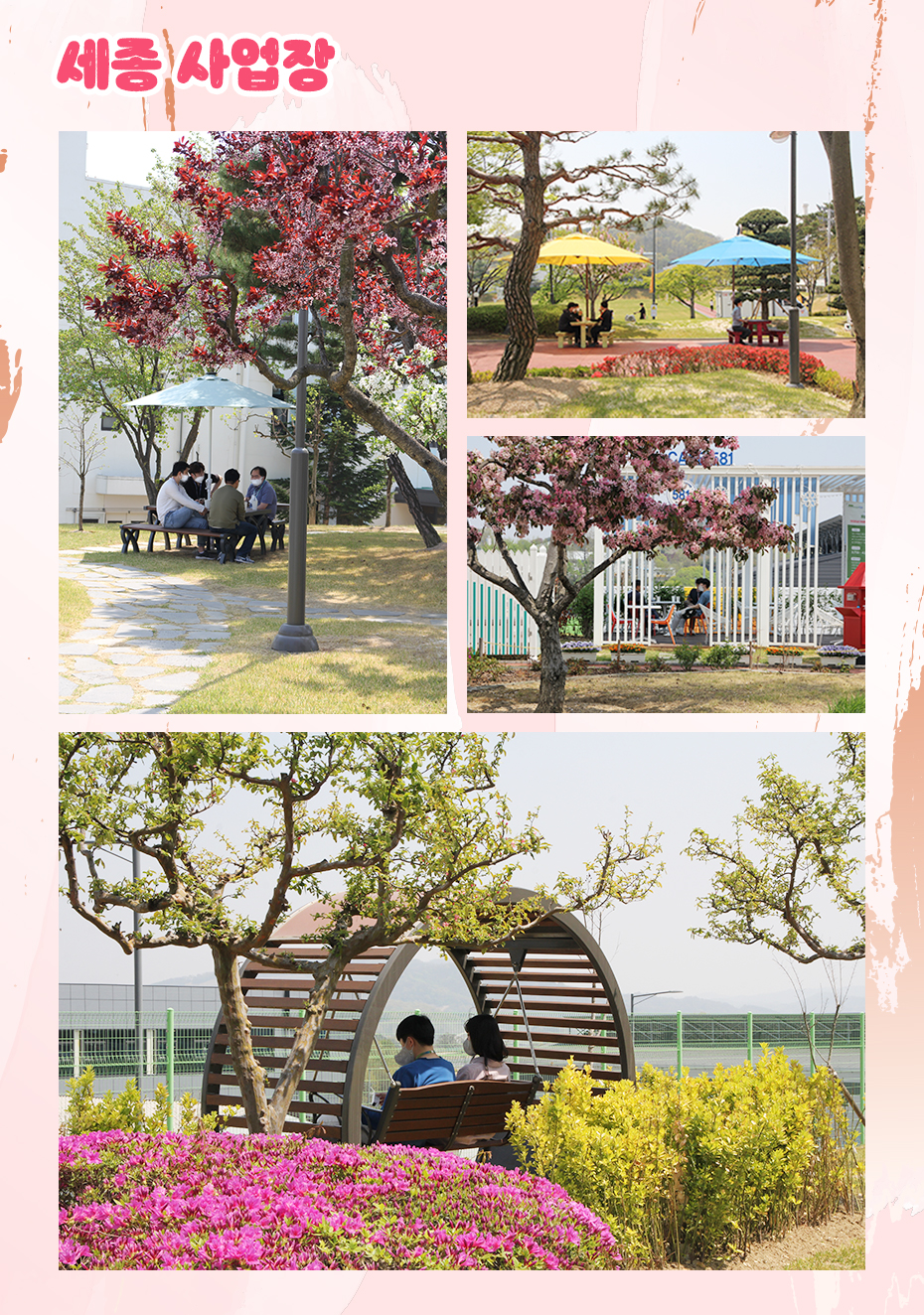 세종 사업장 봄 풍경