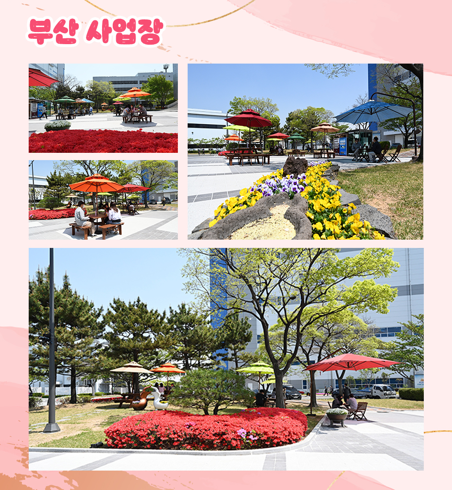 부산 사업장 봄 풍경