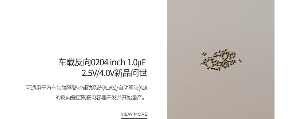 车载反向0204 inch 1.0㎌ 2.5V/4.0V新品问世 VIEW MORE
