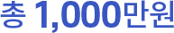 총 1000만원